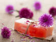 Handmade Soap Coach Coupons Paterson, NJ Deals