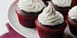 De Novo Delights Coupons Seattle, WA Deals
