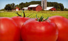 Paris Barns Coupons Paris, Virginia Deals