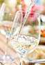 Great Grapes Wine & Food Festival Coupons Cockeysville, MD Deals