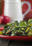 Khepra's Raw Food Juice Bar Coupons Washington, DC Deals