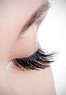 Southern Charm Lash Co. Coupons Cedar Park, TX Deals