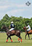 Greenwich Polo Club  Coupons Greenwich, CT Deals