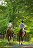 Gemini Equestrian Coupons Galt, CA Deals