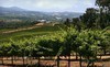 Winery Tour Coupons Healdsburg, California Deals