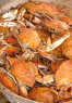 Chesapeake Crab & Beer Festival Coupons National Harbor, MD Deals