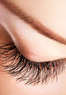 Mesmer Eyez Me Lashes Coupons Austin, TX Deals