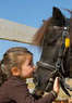 Timbermist Farm Coupons Pleasant Hill, MO Deals