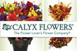 Calyx Flowers - November 2012 Coupons Kissimmee, FL Deals