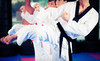 Relson Gracie Jiu-Jitsu Coupons Bronx, New York Deals