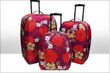 Topnet - Luggage - December 2012 Coupons Kissimmee, FL Deals