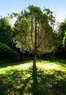 Rick's Tree Service Coupons  Deals