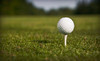 Meadowlawn Golf Course Coupons Salem, Oregon Deals