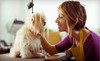 Happy Tails Dog Day Care Coupons Raleigh, North Carolina Deals