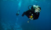 Aqua Tech Scuba Coupons Maple Shade, New Jersey Deals