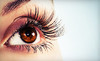 Maquillage Pro Beauty Coupons The Woodlands, Texas Deals