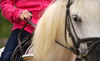 Saxton Equestrian Coupons Wilton, California Deals