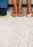 Professor Pyle’s Five Step Carpet Care Coupons  Deals