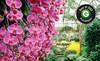 Longwood Gardens Coupons Kennett Square, Pennsylvania Deals