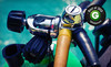 Adventure Diving Coupons Crystal River, Florida Deals