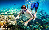 Snorkeling Catalina Coupons Avalon, California Deals