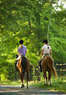 Blackhawk Equestrian Coupons Lincoln, CA Deals