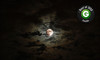 Spooked in Seattle Ghost Tours Coupons Seattle, Washington Deals