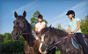 Downtown Equestrian Center Coupons Frankfort, Illinois Deals