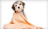 Furry Friends Inc Coupons Colorado Springs, Colorado Deals