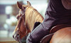Summer Wind Stables Coupons Chesterland, Ohio Deals