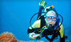 H2O Dive Center Coupons Miami, Florida Deals