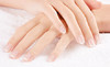 Who Does Your Hair Coupons Boise, Idaho Deals
