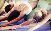 Downtown Fitness Center Coupons New Orleans, Louisiana Deals