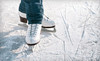 Lakeland Arena Coupons Waterford, Michigan Deals