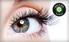 Lash Impression Coupons San Diego, California Deals