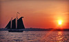 Schooner Inc Coupons New Haven, Connecticut Deals