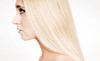 Safari Salon Coupons Hewlett, New York Deals