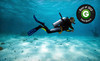 Scuba Works Coupons Jupiter, Florida Deals