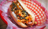 AsiaDog Coupons New York, New York Deals