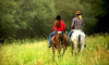 Rocking Lazy K Ranch Coupons Sherman, Texas Deals