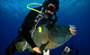 Abyss Scuba & Travel Coupons Englewood, Colorado Deals
