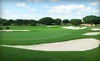 Twin Wells Golf Club Coupons Irving, Texas Deals