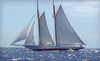 New York Sailing School Coupons New Rochelle, New York Deals
