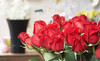All Occasions Flowers Coupons Hoboken, New Jersey Deals