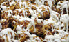 Pop O Licious Popcorn Coupons Arlington Heights, Illinois Deals