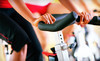 The Workout Studio Coupons Boulder, Colorado Deals