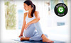 Evolation Yoga Coupons Buffalo, New York Deals