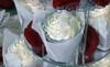 Starz Cupcakes Coupons Capitola, California Deals