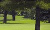 Sycamore Golf Club Coupons Sycamore, Illinois Deals