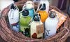 EarthLust Coupons  Deals